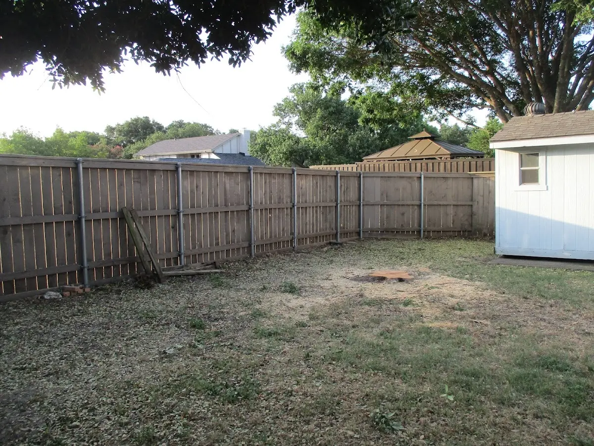 Cleared yard after professional tree removal in Great Neck